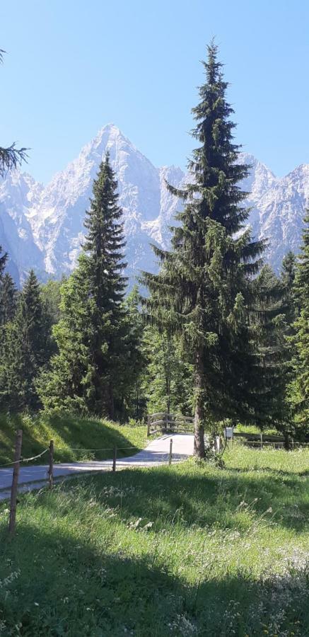 Nigritella Apartment Kranjska Gora Exterior photo